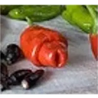 Black Pepper